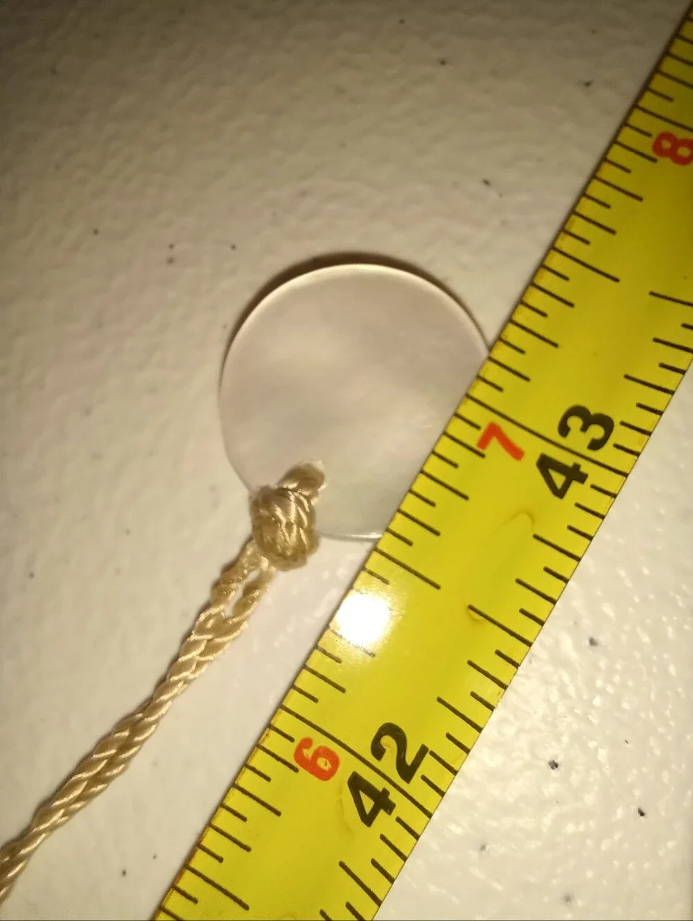 White Shell Disc Statement Belt
